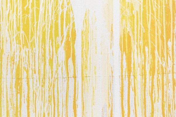 Hermann Nitsch
