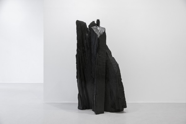 Christian Lapie, Comme un miroir