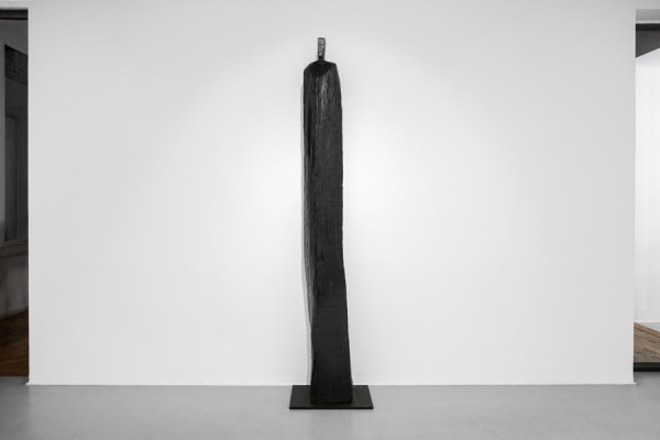 Christian Lapie, La lune dans l'arbre
