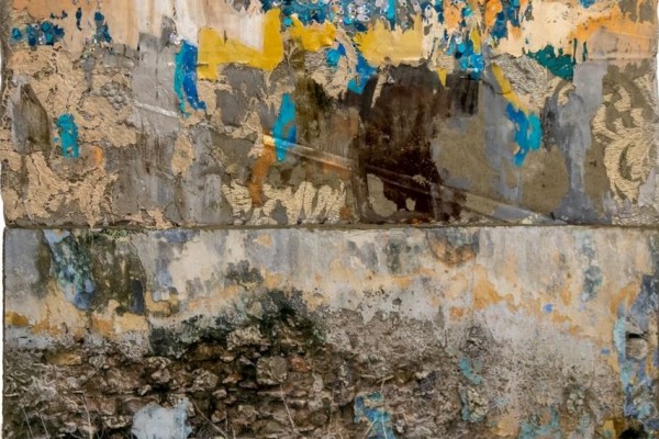 Naomi Safran-Hon, Building-up roots