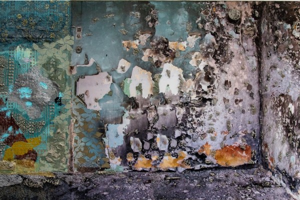 Naomi Safran-Hon, The fire behind