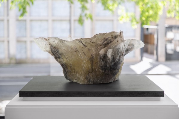 Pascal Convert, Souche de Verdun cristallisée VII