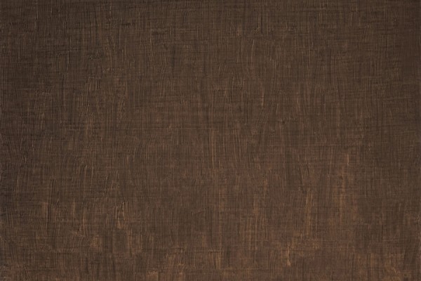 João Trevisan, Paisagens Os seus longos suspiros