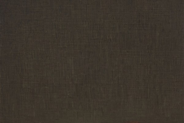 João Trevisan, Paisagens Nesta beira caminha acompanhado