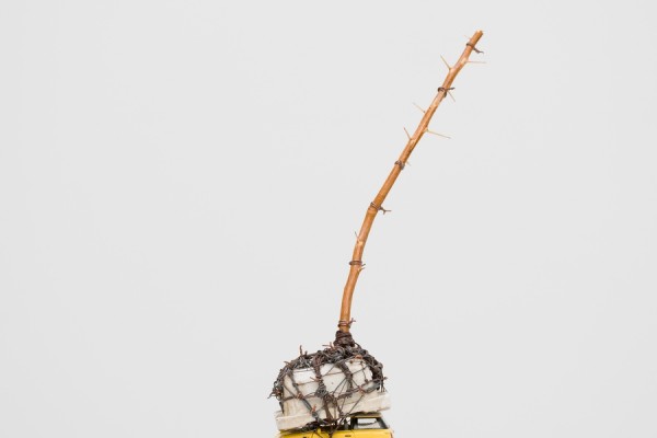 Lamentation of a Friend 3, 2003